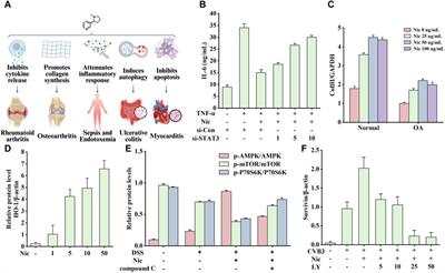 The double-edged nature of nicotine: toxicities and therapeutic potentials